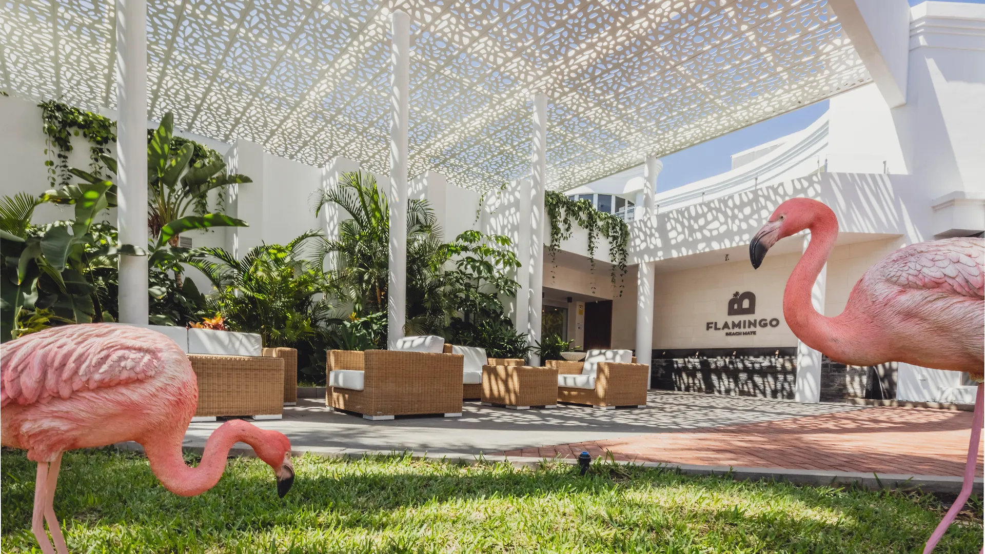 **** Hotel Flamingo Beach Mate Costa Adeje  Spain