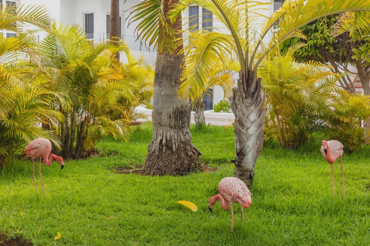 Flamingo Beach Mate Costa Adeje  Spanien